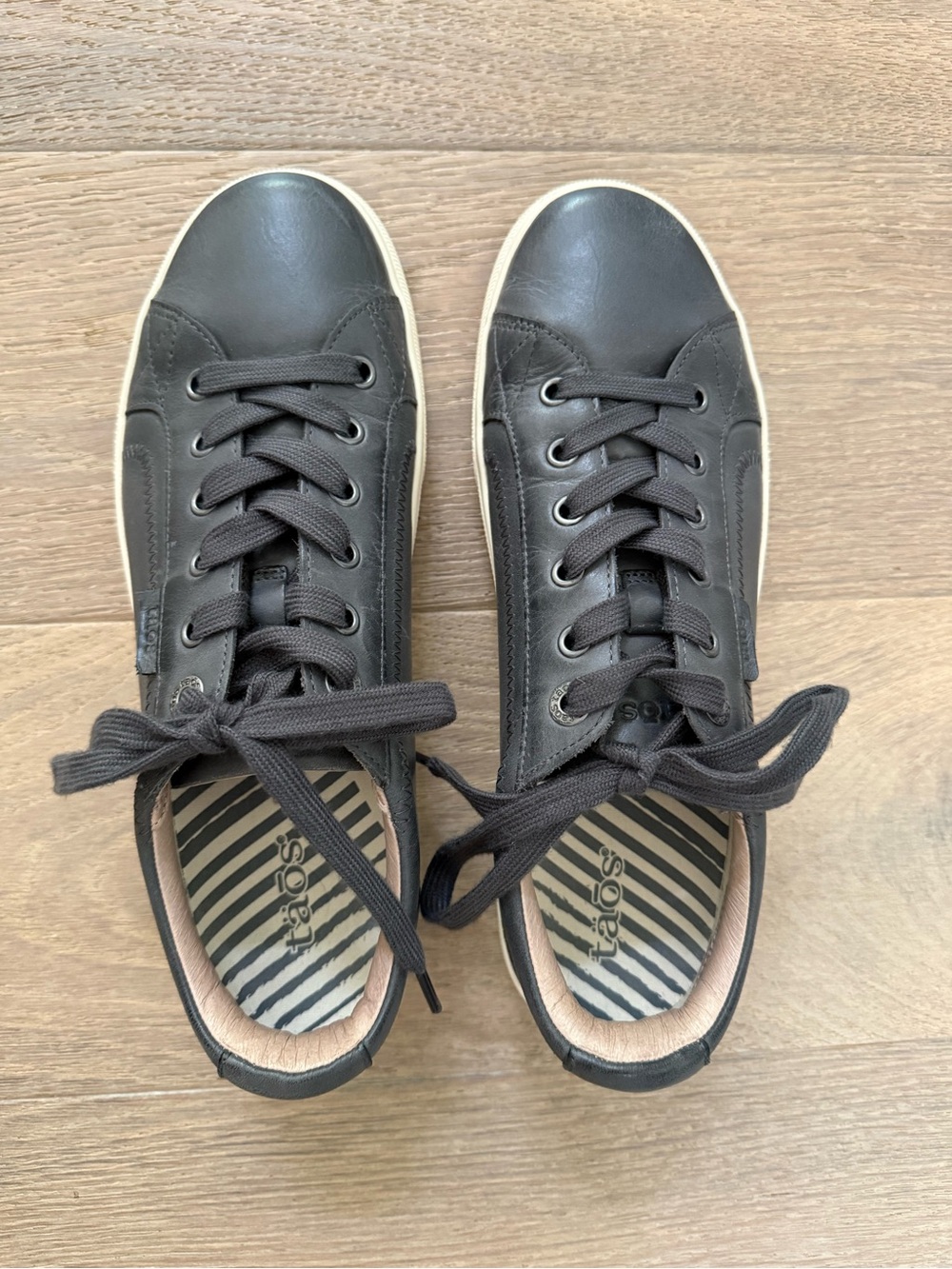Taos Plim Soul Lux Leather Sneakers in Steel